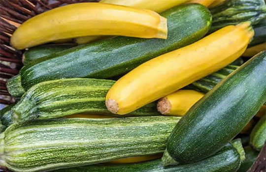 Bien choisir vos courgettes