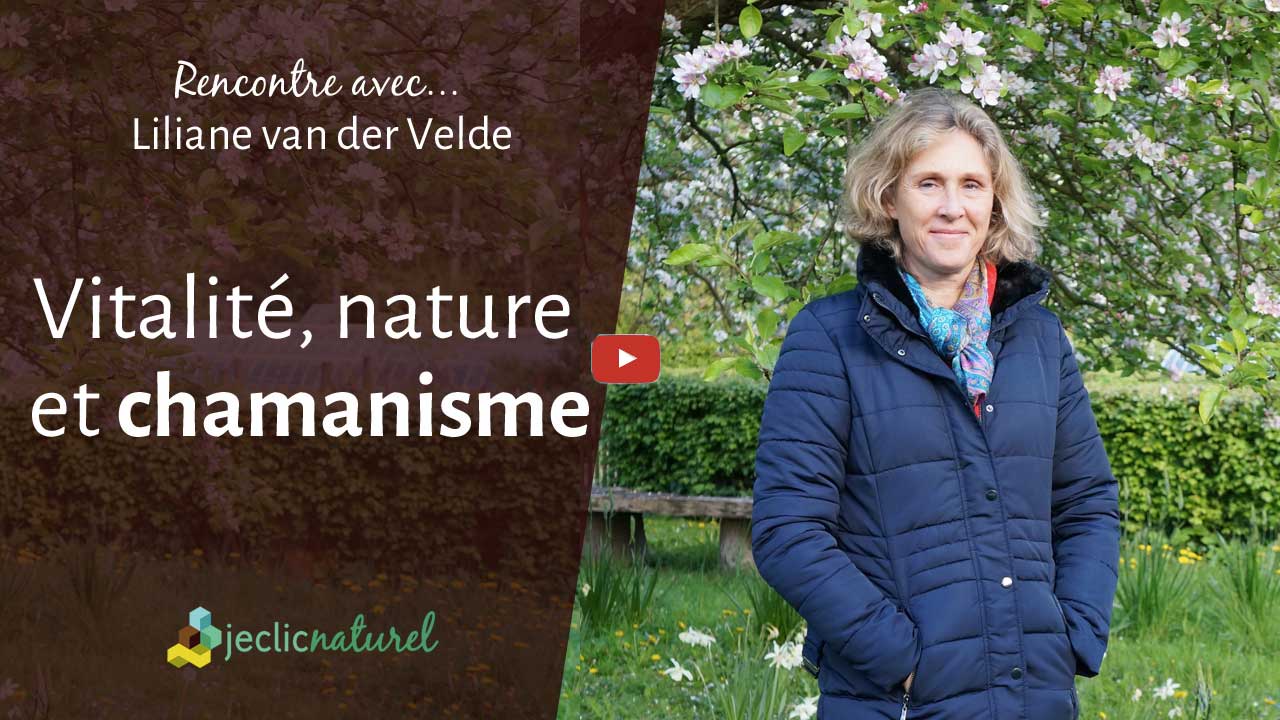 Comment retrouver le lien avec la nature pour retrouver sa vitalité