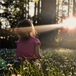 Le soleil : le complément naturel pour avoir de la vitamine D