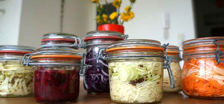 Apprendre faire légumes lacto-fermentation