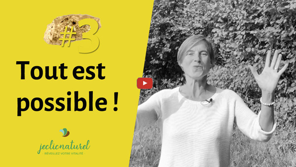 Pépite 3 : Tout est possible !