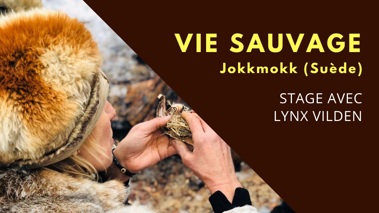 Stage nature vie sauvage avec Lynx Vilden à Jokkmokk