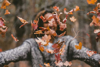 programme-renforcer-immunite-avant-hiver-ok Une bonne immunité pour l'hiver