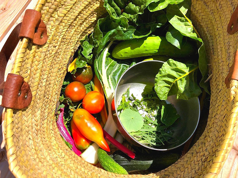legumes-dans-panier Alimentation qui relie - centre