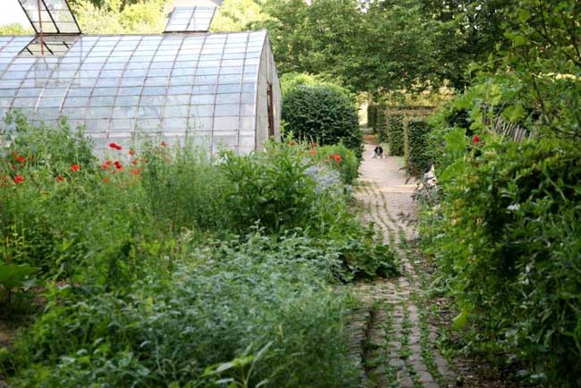 sous-les-tilleuls-bruxelles-jardin-potager-5 Cercle Alimentation Qui Relie à Bruxelles