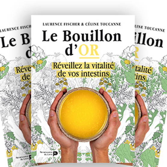 Livre le Bouillon d'OR